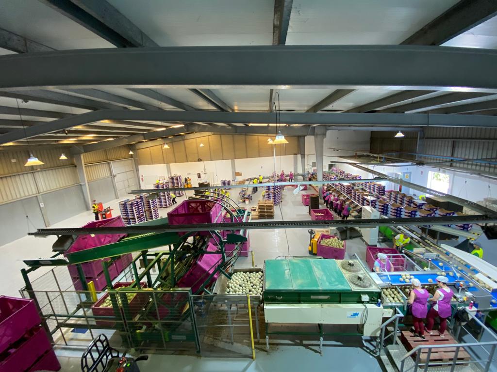 Vista general de las instalaciones